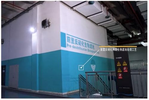 華騏環(huán)保 匠心打造高標(biāo)準(zhǔn)出水地下污水處理廠