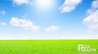 睿容空氣凈化器加盟指南 加盟費(fèi)、官網(wǎng)、條件流程及政策支持解析